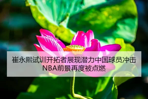 崔永熙试训开拓者展现潜力中国球员冲击NBA前景再度被点燃