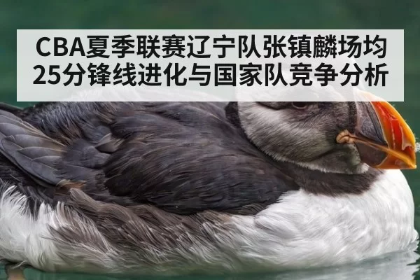 CBA夏季联赛辽宁队张镇麟场均25分锋线进化与国家队竞争分析