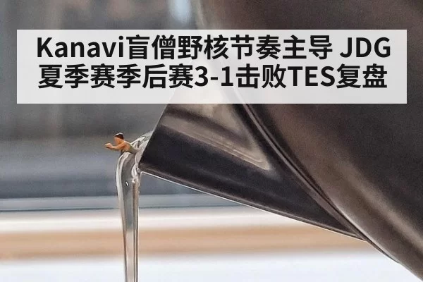 Kanavi盲僧野核节奏主导 JDG夏季赛季后赛3-1击败TES复盘
